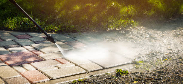 Best Fleet Vehicle Washing  in Pioneer, OH